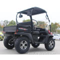 EFI 200CC UTV with EPA for Adults